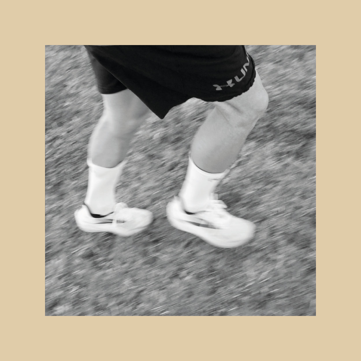 MAUN.TEN St. Moritz Community Socks (Limited Edition)