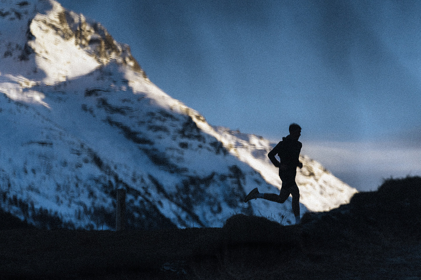 Trail & Tarmac Pursuit 2025