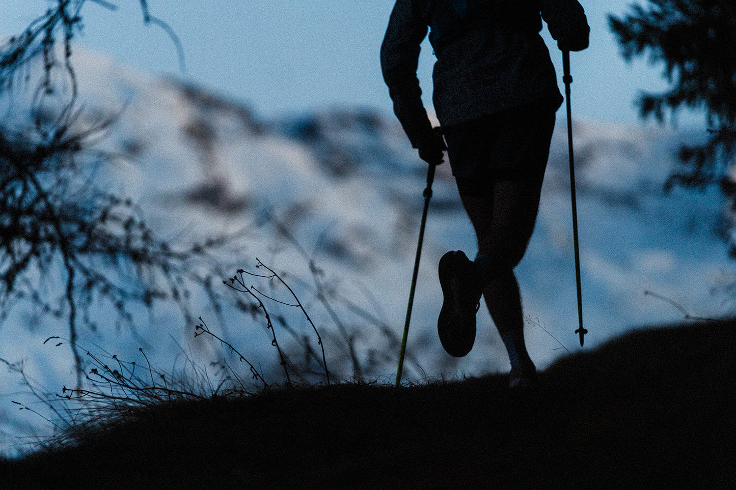 Trail & Tarmac Pursuit 2025